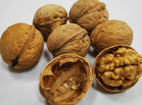 【奇蕊科技】核桃树什么时期冬剪好