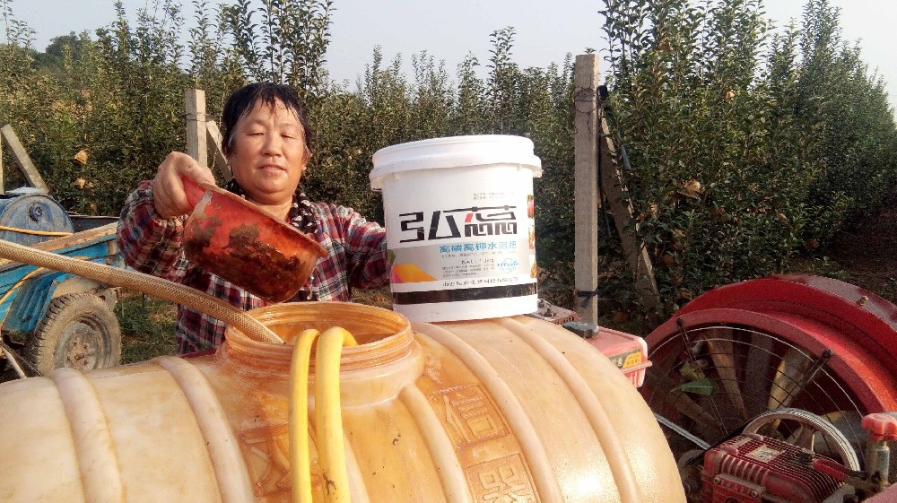 【奇蕊科技】景雪亮老师谈果树秋季管理