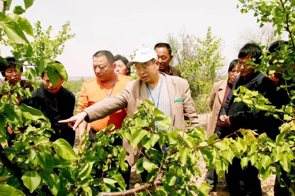 【奇蕊科技】核桃园秋施基肥莫迟缓