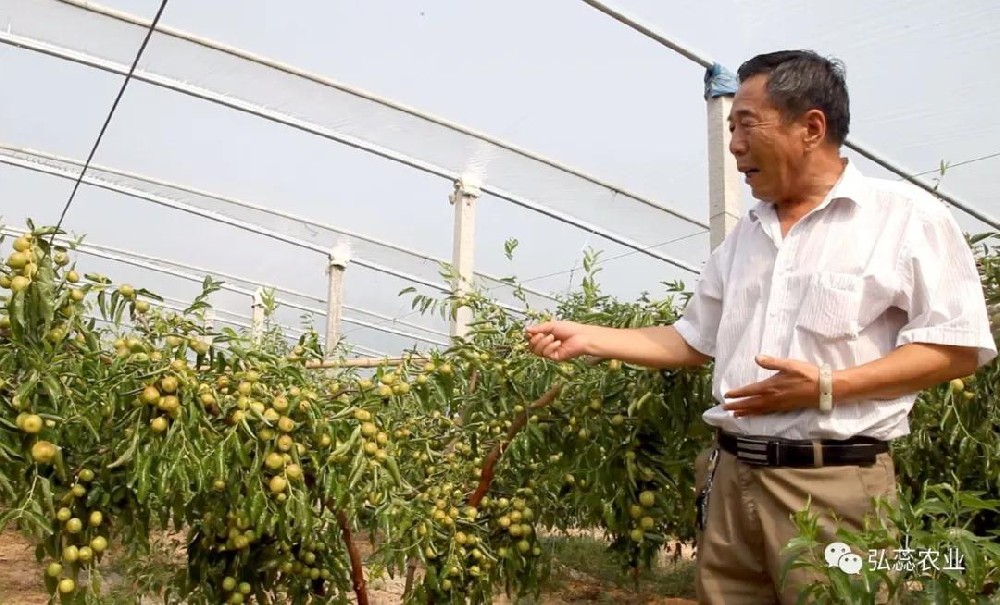 【奇蕊科技】果园秋季施肥是的