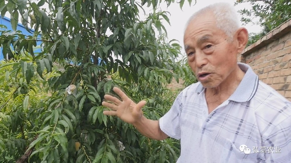 【奇蕊科技】影响果树根系吸收养分的因素之三：土壤空气