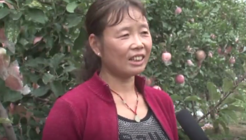 【奇蕊科技】苹果使用弘蕊产品