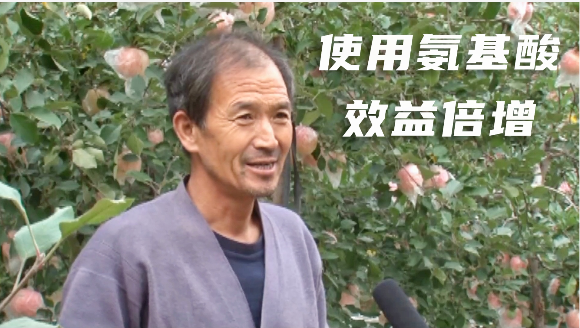 【奇蕊科技】果农使用氨基酸效益倍增