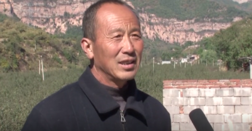 【奇蕊科技】使用奇蕊氨基酸 金秋又获丰收年（四）