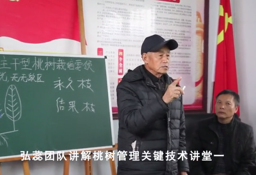 【弘蕊科技】弘蕊团队讲解桃树管理关键技术讲堂一
