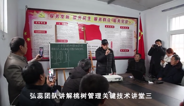 【奇蕊科技】弘蕊团队讲解桃树管理关键技术讲堂三