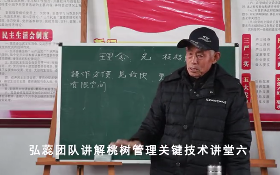 【奇蕊科技】弘蕊团队讲解桃树管理关键技术讲堂六