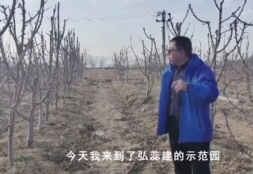 【奇蕊科技】弘蕊团队讲解樱桃春季管理关键技术1