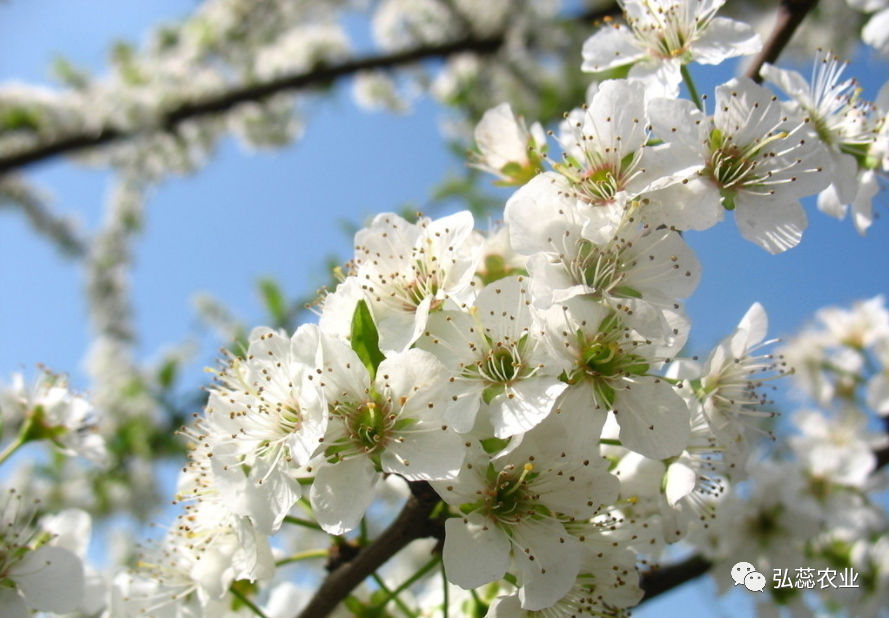 【奇蕊科技】提质增效，共同致富