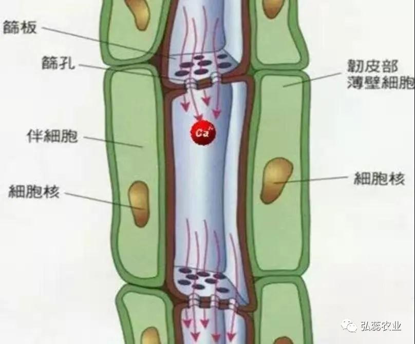 微信图片_20210304114341.jpg