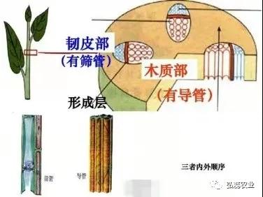 微信图片_20210304114305.jpg