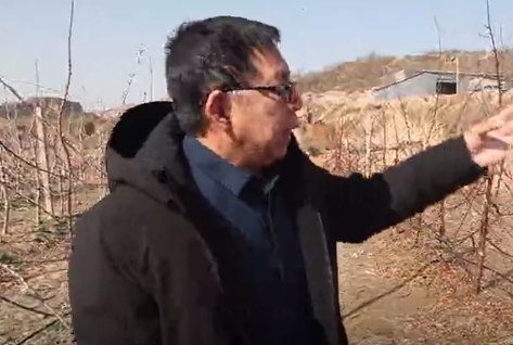 【奇蕊科技】 曹泳春教授讲解弘蕊氨基酸春季果树喷涂方法【2】