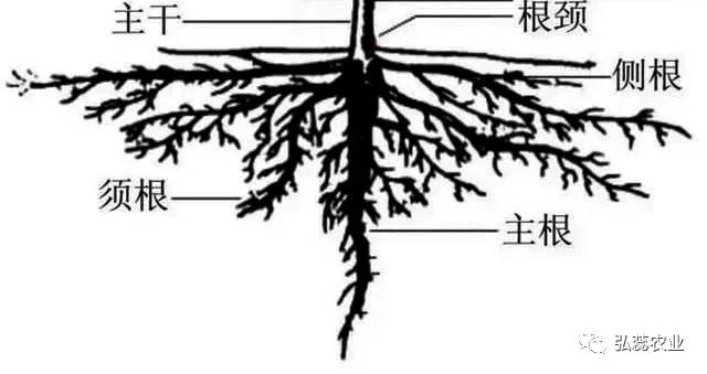 202104069537.jpg 微信图片_20210406101352.jpg