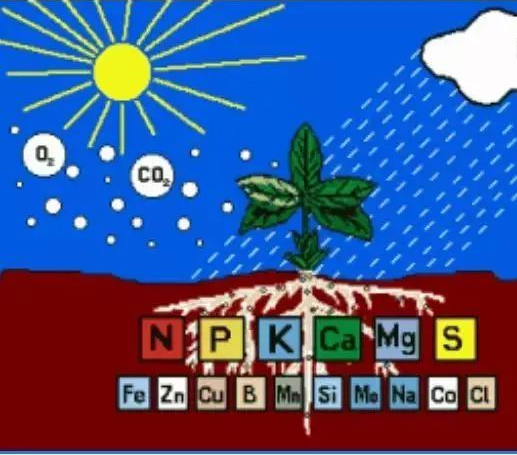 所有人都忽略了，影响肥料效果的罪魁祸首