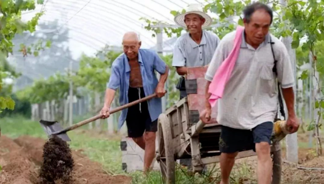 关于施肥，这些你要懂