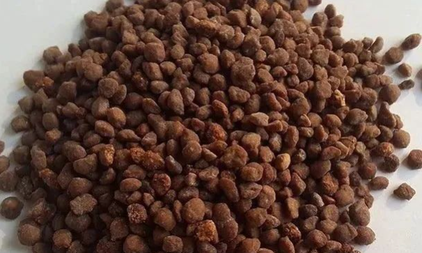 氨基酸肥料的9大优势！看完大吃一惊，难怪用的人原来越多！