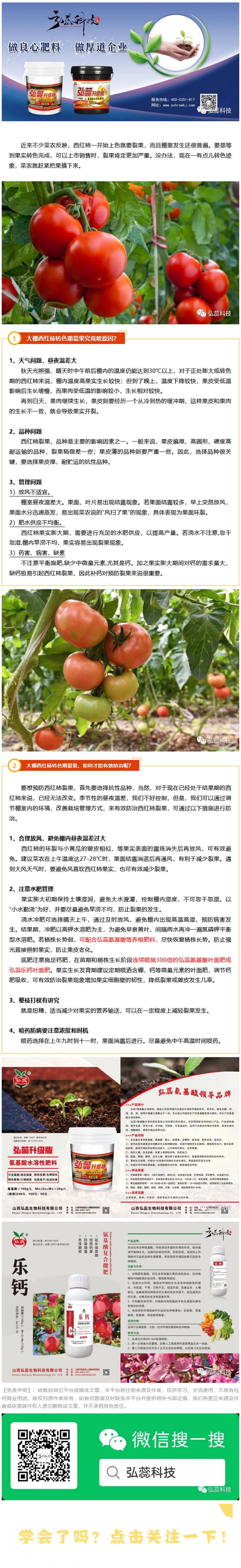 转色期裂果？这些原因知道 .jpg