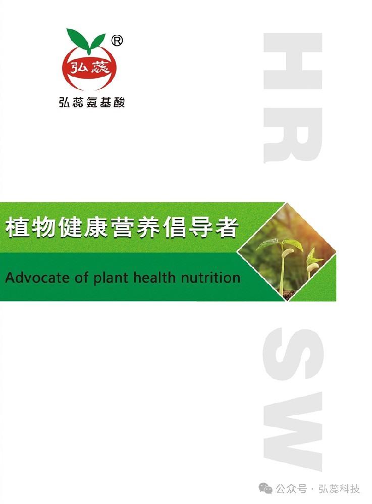 【弘蕊生物】产品手册