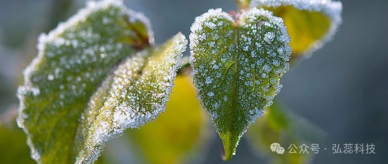 今年冬天雨雪天气多不多？霜降天气有预兆，老祖宗的经验之谈！