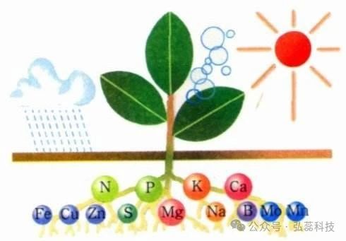 肥料施到地里多久能吸收？看完就懂了！