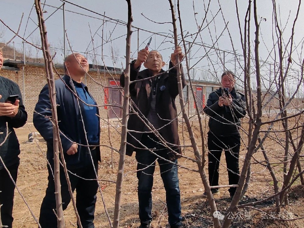 果树修剪，这些你知道么？