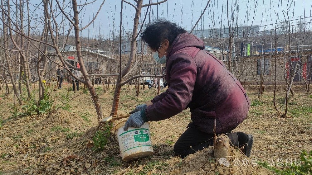 果树清园两遍药，哪一遍都不能省，为什么呢