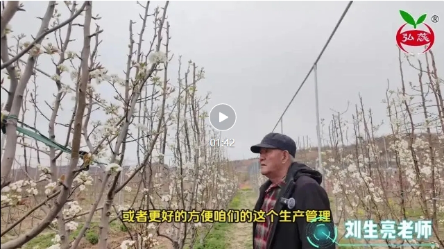 【刘生亮讲果树】如何在现有树形上进行改造管理？