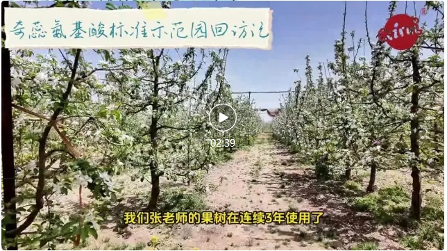 奇蕊氨基酸标准示范园回访记——张智芳果园