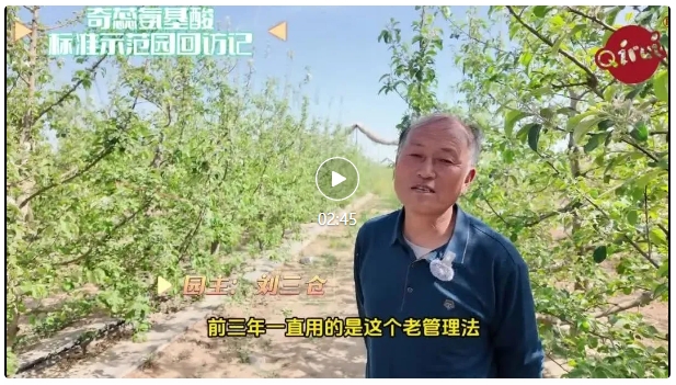奇蕊氨基酸标准示范园回访记——刘三仓果园