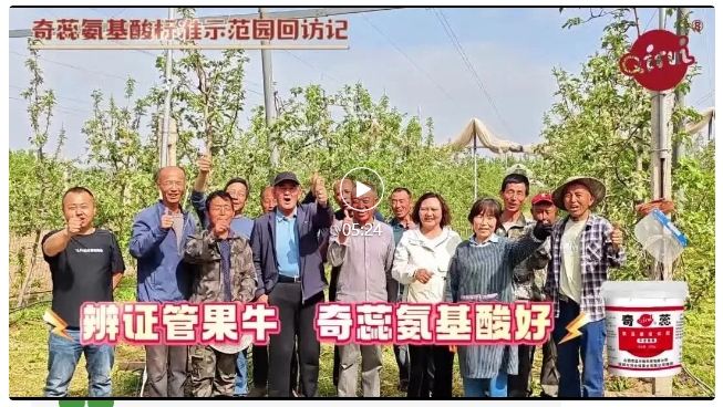 奇蕊氨基酸标准示范园回访记——汪卫刚果园