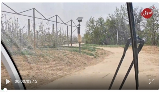 奇蕊氨基酸标准示范园回访记——轩乐农牧公司苹果种植基地