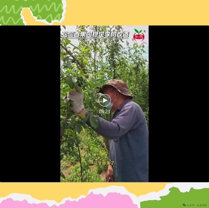 5月中旬果树可以做这些么？